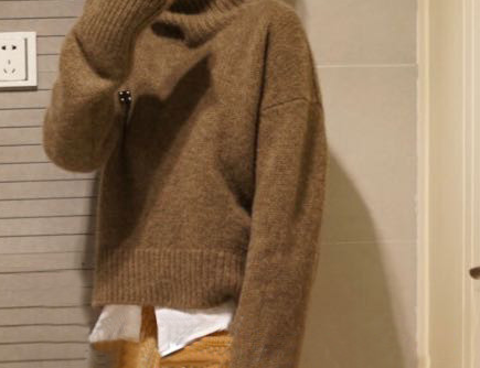 Turtleneck Cropped Outline Brown Full Cashmere Sweater